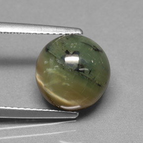 3.63 ct Green Serpentine Stone, Natural Serpentine in Round Cabochon Shape for Sale