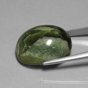 Serpentine Gemstone in 22.3 x 18 mm Size for Sale, Serpentine Stone in Green Color