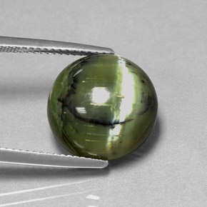 7.53 ct Green Serpentine Stone, Natural Serpentine in Round Cabochon Shape for Sale