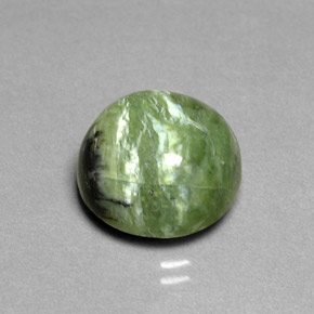 7.91 ct Green Serpentine Gemstone, Serpentine Gem in Round Cabochon Shape for Sale.