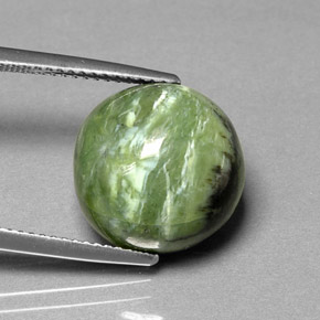 7.91 ct Green Serpentine Stone, Natural Serpentine in Round Cabochon Shape for Sale