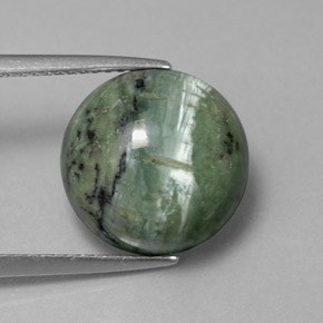5.84 ct Green Serpentine Stone, Natural Serpentine in Round Cabochon Shape for Sale