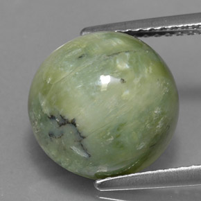 5.17 ct Green Serpentine Gemstone, Serpentine Gem in Round Cabochon Shape for Sale.