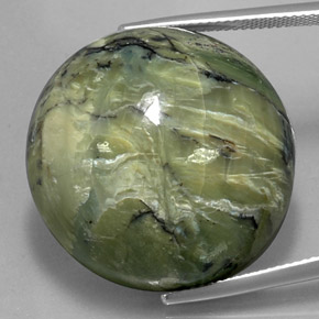 58.61 ct Green Serpentine Gemstone, Serpentine Gem in Round Cabochon Shape for Sale.