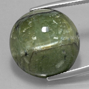 20.97 ct Green Serpentine Gemstone, Serpentine Gem in Round Cabochon Shape for Sale.