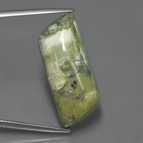 19.1ct Fancy Cabochon Green Serpentine Gem for sale 19.1ct Fancy Cabochon Green Serpentine Gem (ID: 404427)