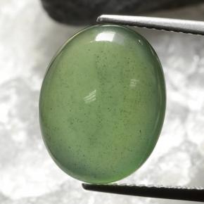 10.1ct Oval Cabochon Green Serpentine Gem for sale 10.1ct Oval Cabochon Green Serpentine Gem (ID: 469777)