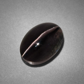 Sillimanite Cat's Eye Gemstone in 10.8 x 7.6 mm Size for Sale, Sillimanite Cat's Eye Stone in Smoke Color