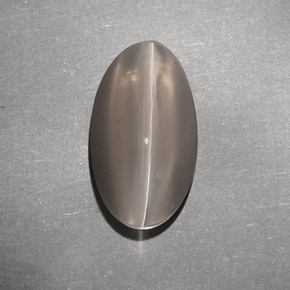 7.02 ct Brown Sillimanite Cat's Eye Stone, Natural Sillimanite Cat's Eye in Oval Cabochon Shape for Sale