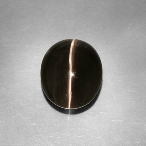 4.11 ct Gray Sillimanite Cat's Eye Stone, Natural Sillimanite Cat's Eye in Oval Cabochon Shape for Sale