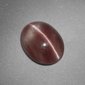 1.60 ct Brown Sillimanite Cat's Eye Stone, Natural Sillimanite Cat's Eye in Oval Cabochon Shape for Sale