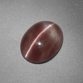 Sillimanite Cat's Eye Gemstone in 9.3 x 7.4 mm Size for Sale, Sillimanite Cat's Eye Stone in Light Cinnamon Brown Color