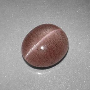 2.04 ct Brown Sillimanite Cat's Eye Stone, Natural Sillimanite Cat's Eye in Oval Cabochon Shape for Sale