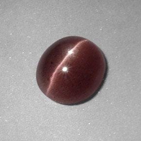 Pecan Brown Sillimanit-Katzenauge Edelstein - 1.6ct Oval Cabochon (ID: 327388)