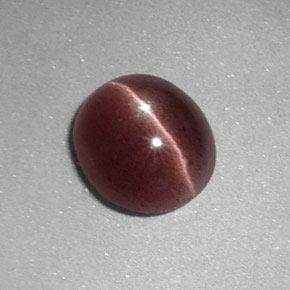 1.64 ct Brown Sillimanite Cat's Eye Stone, Natural Sillimanite Cat's Eye in Oval Cabochon Shape for Sale