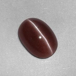 2.05 ct Brown Sillimanite Cat's Eye Stone, Natural Sillimanite Cat's Eye in Oval Cabochon Shape for Sale