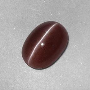 Sillimanite Cat's Eye Gemstone in 9.6 x 6.7 mm Size for Sale, Sillimanite Cat's Eye Stone in Pecan Brown Color