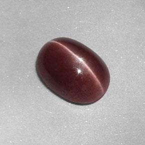 1.58 ct Brown Sillimanite Cat's Eye Stone, Natural Sillimanite Cat's Eye in Oval Cabochon Shape for Sale