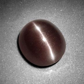 3.29 ct Brown Sillimanite Cat's Eye Stone, Natural Sillimanite Cat's Eye in Oval Cabochon Shape for Sale