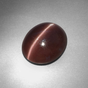 3.43 ct Brown Sillimanite Cat's Eye Stone, Natural Sillimanite Cat's Eye in Oval Cabochon Shape for Sale