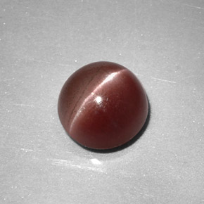 2.65 ct Brown Sillimanite Cat's Eye Gemstone, Sillimanite Cat's Eye Gem in Round Cabochon Shape for Sale.