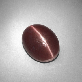 3.77 ct Brown Sillimanite Cat's Eye Gemstone, Sillimanite Cat's Eye Gem in Oval Cabochon Shape for Sale.