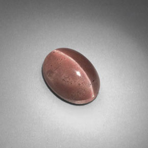 2.58 ct Brown Sillimanite Cat's Eye Stone, Natural Sillimanite Cat's Eye in Oval Cabochon Shape for Sale