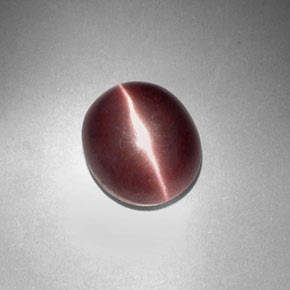 Sillimanite Cat's Eye Gemstone in 9.9 x 8.4 mm Size for Sale, Sillimanite Cat's Eye Stone in Purplish Brown Color