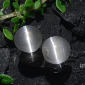 Clear White Sillimanite Cat's Eye Gem - 0.8ct Oval Cabochon (ID: 471789)