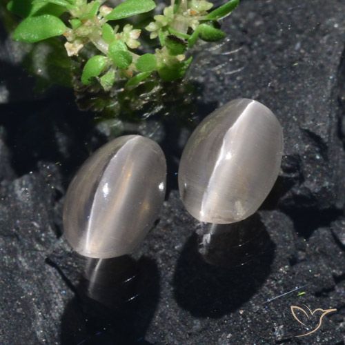 2.2 ct Oval Sillimanite Cat's Eye, 7.4 x 5.1 mm From Madagascar, Photo A
