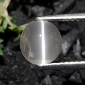 1.3ct Oval Cabochon Grayish Brown Sillimanite Cat's Eye Gem for sale 1.3ct Oval Cabochon Grayish Brown Sillimanite Cat's Eye Gem (ID: 471897)