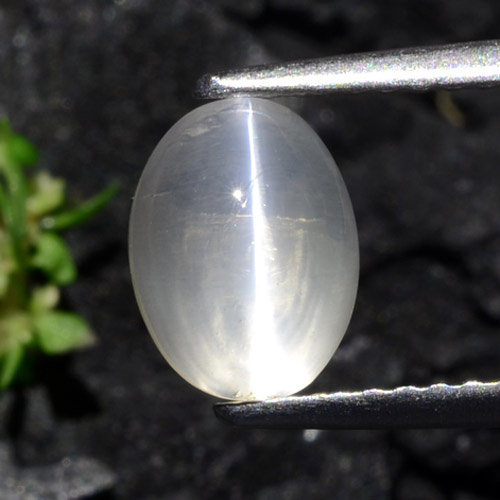 Clear White Силлиманит Кошачий Глаз Камень - 2ct Овал Кабошон (ID: 471900)