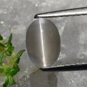 1.23 ct Brown Sillimanite Cat's Eye Gemstone, Sillimanite Cat's Eye Gem in Oval Cabochon Shape for Sale.