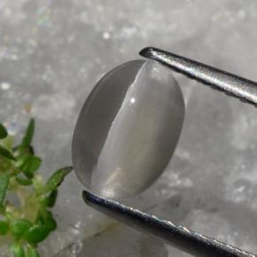 1.23 ct Brown Sillimanite Cat's Eye Stone, Natural Sillimanite Cat's Eye in Oval Cabochon Shape for Sale