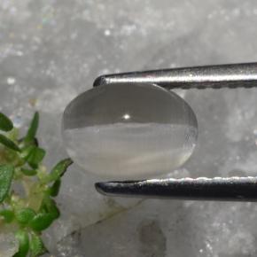 Sillimanite Cat's Eye Gemstone in 7.4 x 5.3 mm Size for Sale, Sillimanite Cat's Eye Stone in Grayish Brown Color