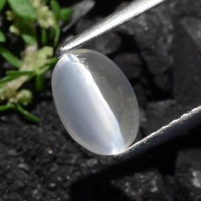 Sillimanite Cat's Eye Gemstone in 7.9 x 5.5 mm Size for Sale, Sillimanite Cat's Eye Stone in Grayish Brown Color