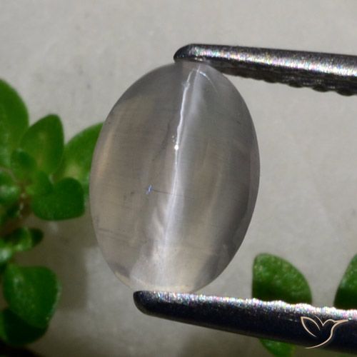 1.65 ct Oval Sillimanite Cat's Eye, 8.1 x 5.7 mm From Madagascar, Photo A