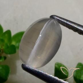 1.65 ct Gray Sillimanite Cat's Eye Stone, Natural Sillimanite Cat's Eye in Oval Cabochon Shape for Sale