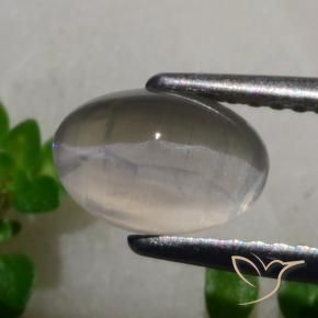 Sillimanite Cat's Eye Gemstone in 8.1 x 5.7 mm Size for Sale, Sillimanite Cat's Eye Stone in Very Light Grey Color