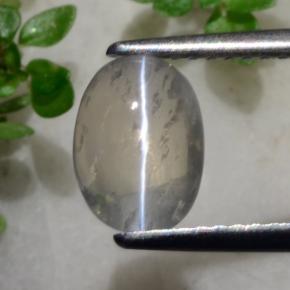 1.96 ct Gray Sillimanite Cat's Eye Stone, Natural Sillimanite Cat's Eye in Oval Cabochon Shape for Sale