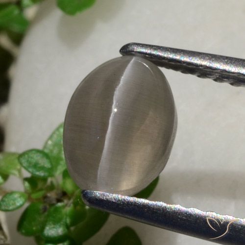 1.80ct Natural Peanut Brown Sillimanite Cat's Eye, Oval, Translucent