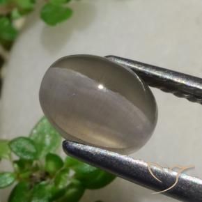 Sillimanite Cat's Eye Gemstone in 7.2 x 5.4 mm Size for Sale, Sillimanite Cat's Eye Stone in Peanut Brown Color