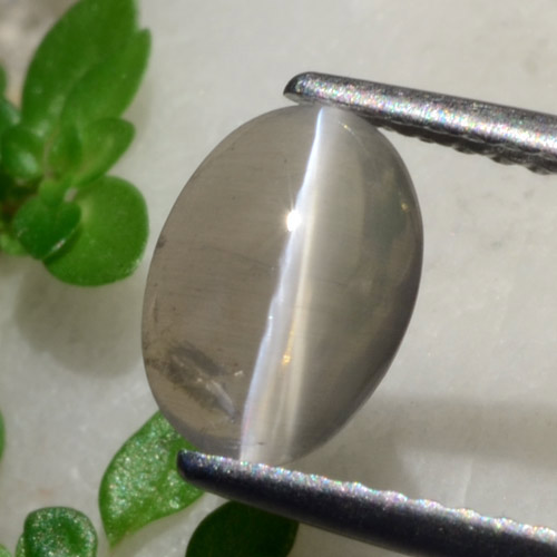 Verde medio Silimanita Ojo de Gato Gema - 1.4ct Cabujón Óvalo (ID: 473994)