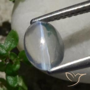 Sillimanite Cat's Eye Gemstone in 7.7 x 5.5 mm Size for Sale, Sillimanite Cat's Eye Stone in White Color
