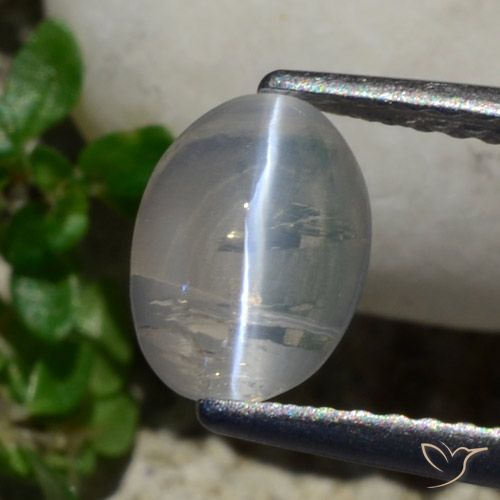 1,42 ct ovaler grauer Sillimanit-Katzenauge aus Madagaskar, Größe 7,9 x 5,7mm, natürlicher Edelstein, Transparent Reinheit, 1 Stück ovaler Sillimanit-Katzenauge, Mohs-Härte von 6,5 - 7,5 Geeignet für den täglichen Gebrauch im Schmuck , Photo A