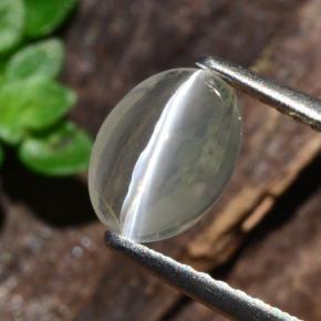 1.14 ct Brown Sillimanite Cat's Eye Stone, Natural Sillimanite Cat's Eye in Oval Cabochon Shape for Sale