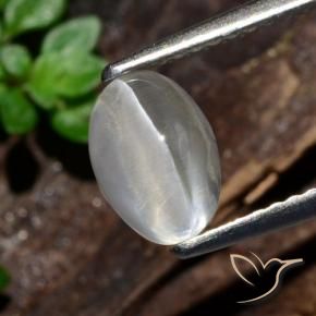 1.47 ct White Sillimanite Cat's Eye Stone, Natural Sillimanite Cat's Eye in Oval Cabochon Shape for Sale