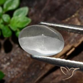 Sillimanite Cat's Eye Gemstone in 7.8 x 5.6 mm Size for Sale, Sillimanite Cat's Eye Stone in White Color