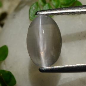 1.20 ct Brown Sillimanite Cat's Eye Gemstone, Sillimanite Cat's Eye Gem in Oval Cabochon Shape for Sale.