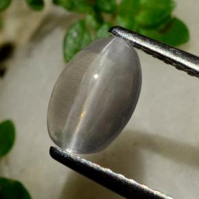 1.20 ct Brown Sillimanite Cat's Eye Stone, Natural Sillimanite Cat's Eye in Oval Cabochon Shape for Sale